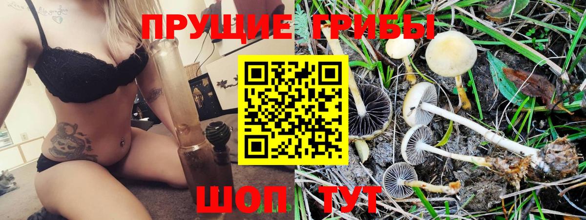 Псилоцибиновые грибы ЛСД Кириши