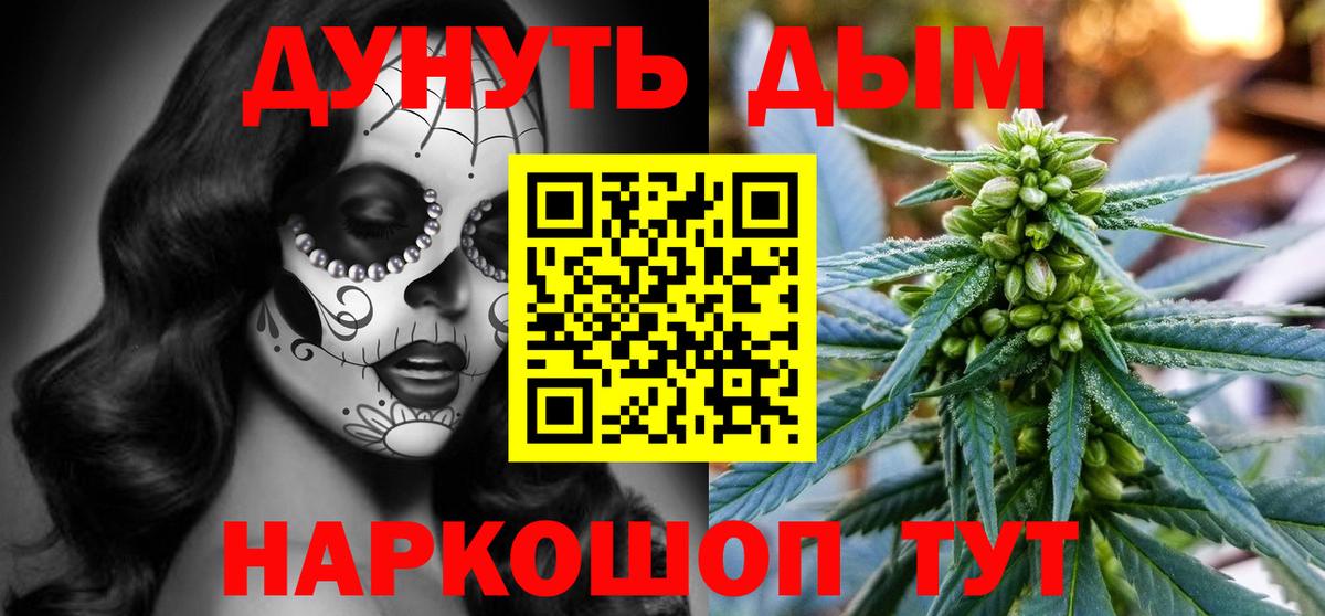 Кириши  Бошки марихуана конопля  Вход с VPN  Бошки Шишки White Widow  Конопля Bruce Banner 